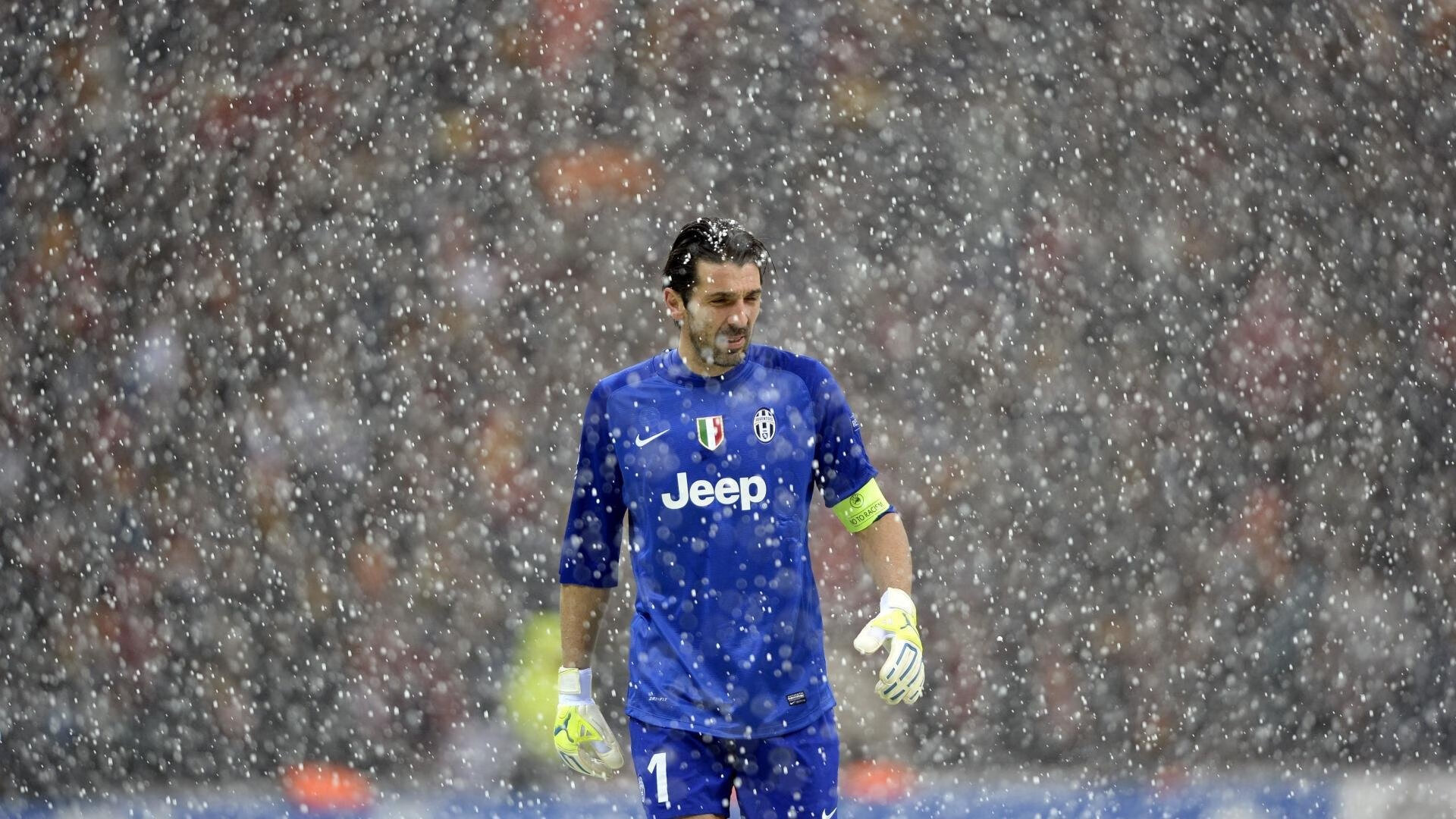 未来之星：我看好这些潜力新秀，未来之星是干嘛的